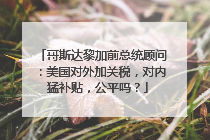 哥斯达黎加前总统顾问：美国对外加关税，对内猛补贴，公平吗？