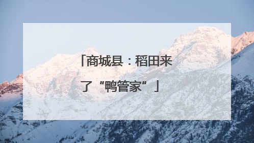 商城县：稻田来了“鸭管家”