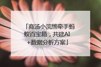 商汤小浣熊牵手蚂蚁百宝箱，共建AI+数据分析方案