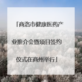 商洛市健康医药产业推介会暨项目签约仪式在商州举行