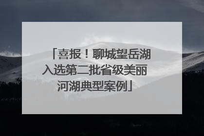喜报！聊城望岳湖入选第二批省级美丽河湖典型案例