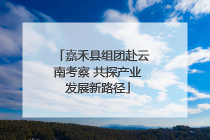 嘉禾县组团赴云南考察 共探产业发展新路径