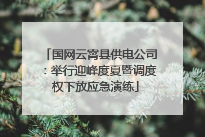 国网云霄县供电公司：举行迎峰度夏暨调度权下放应急演练