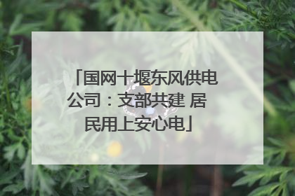 国网十堰东风供电公司：支部共建 居民用上安心电