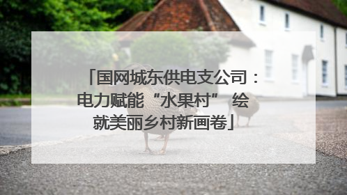 国网城东供电支公司：电力赋能“水果村” 绘就美丽乡村新画卷