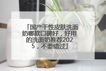 国产干性皮肤洗面奶哪款口碑好，好用的洗面奶推荐2025，不要错过