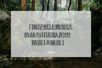 国足抵达雅加达备战与印尼队的世预赛18强赛