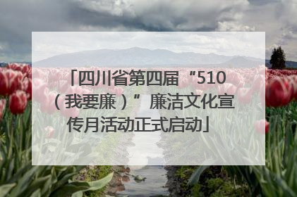 四川省第四届“510（我要廉）”廉洁文化宣传月活动正式启动