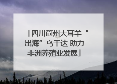 四川简州大耳羊“出海”乌干达 助力非洲养殖业发展