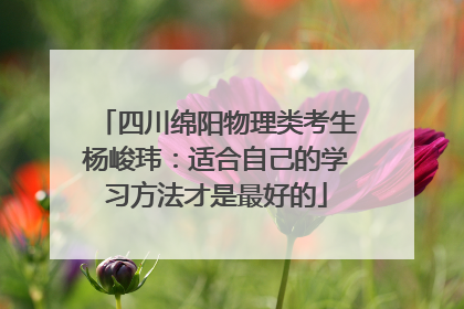 四川绵阳物理类考生杨峻玮：适合自己的学习方法才是最好的