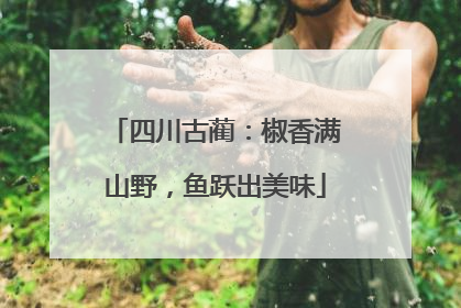 四川古蔺：椒香满山野，鱼跃出美味