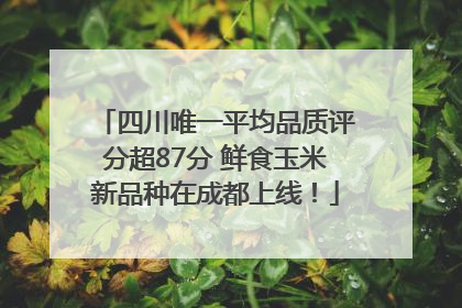四川唯一平均品质评分超87分 鲜食玉米新品种在成都上线！