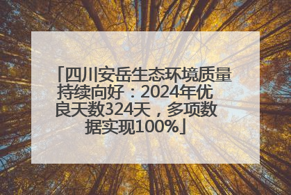 四川安岳生态环境质量持续向好：2024年优良天数324天，多项数据实现100%