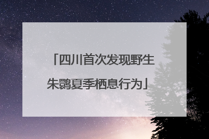 四川首次发现野生朱鹮夏季栖息行为
