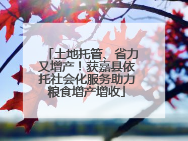 土地托管、省力又增产！获嘉县依托社会化服务助力粮食增产增收