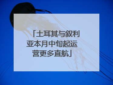 土耳其与叙利亚本月中旬起运营更多直航