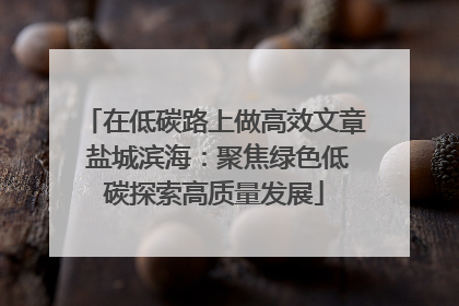 在低碳路上做高效文章 盐城滨海：聚焦绿色低碳探索高质量发展