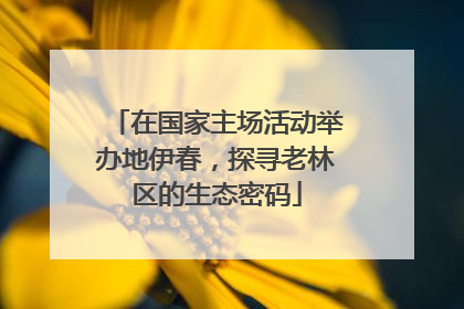 在国家主场活动举办地伊春，探寻老林区的生态密码