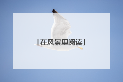 在风景里阅读