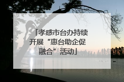 孝感市台办持续开展“惠台助企促融合”活动
