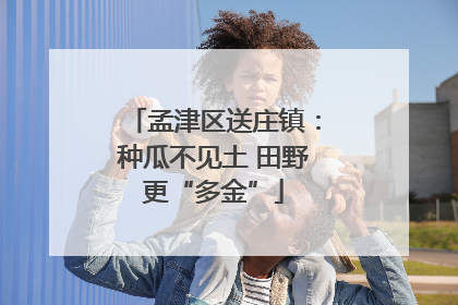 孟津区送庄镇：种瓜不见土 田野更“多金”