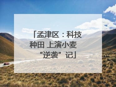 孟津区：科技种田 上演小麦“逆袭”记