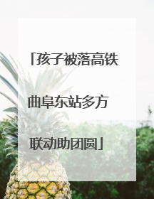 孩子被落高铁 曲阜东站多方联动助团圆