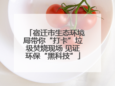 宿迁市生态环境局带你“打卡”垃圾焚烧现场 见证环保“黑科技”