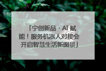 宁创新品・AI 赋能！服务机器人对接会开启智慧生活新图景