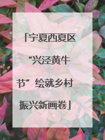 宁夏西夏区 “兴泾黄牛节”绘就乡村振兴新画卷