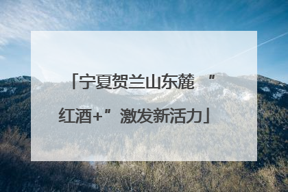 宁夏贺兰山东麓 “红酒+”激发新活力