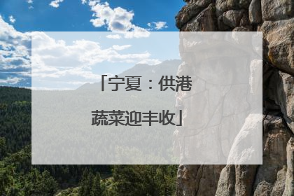 宁夏：供港蔬菜迎丰收