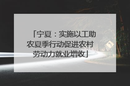 宁夏：实施以工助农夏季行动促进农村劳动力就业增收