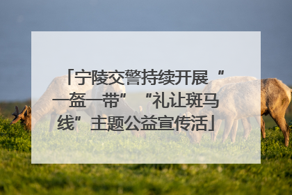 宁陵交警持续开展“一盔一带”“礼让斑马线”主题公益宣传活