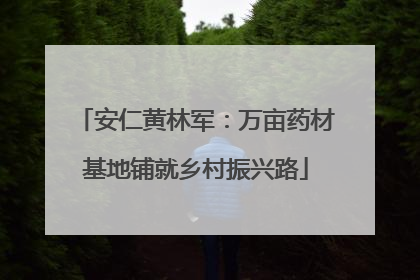 安仁黄林军：万亩药材基地铺就乡村振兴路