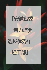 安徽省委：着力培养选拔优秀年轻干部