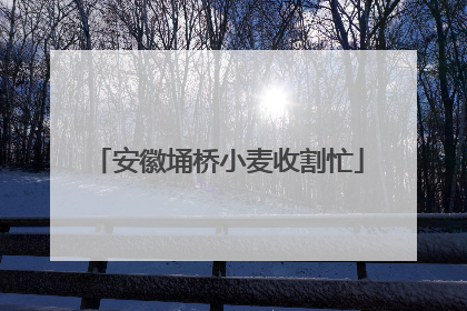 安徽埇桥小麦收割忙