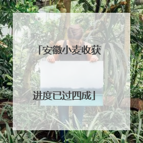 安徽小麦收获进度已过四成