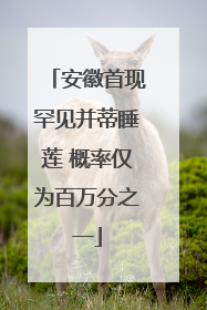 安徽首现罕见并蒂睡莲 概率仅为百万分之一