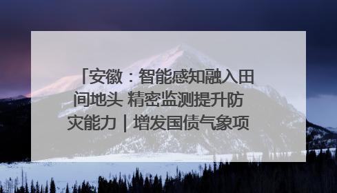 安徽：智能感知融入田间地头 精密监测提升防灾能力｜增发国债气象项目落地见效系列报道