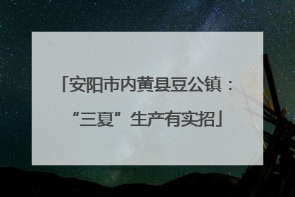 安阳市内黄县豆公镇：“三夏”生产有实招