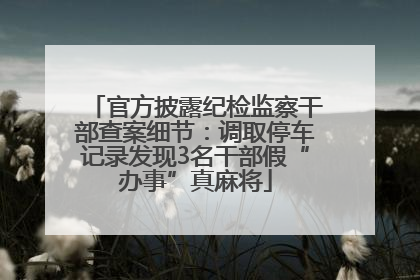 官方披露纪检监察干部查案细节：调取停车记录发现3名干部假“办事”真麻将