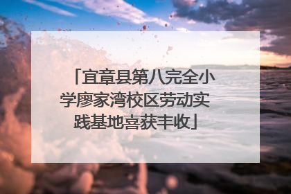 宜章县第八完全小学廖家湾校区劳动实践基地喜获丰收