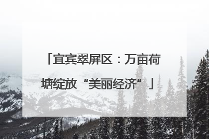 宜宾翠屏区：万亩荷塘绽放“美丽经济”
