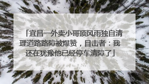 宜昌一外卖小哥顶风雨独自清理道路路障被爆赞，目击者：我还在犹豫他已经停车清障了