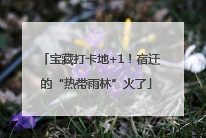 宝藏打卡地+1！宿迁的“热带雨林”火了