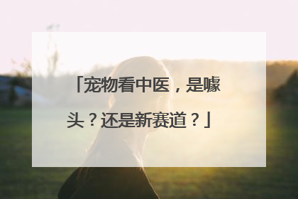 宠物看中医，是噱头？还是新赛道？