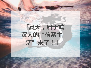 夏天，属于武汉人的“荷系生活”来了！