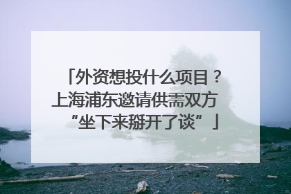 外资想投什么项目？上海浦东邀请供需双方“坐下来掰开了谈”