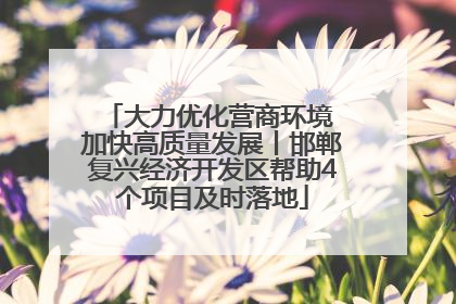 大力优化营商环境 加快高质量发展丨邯郸复兴经济开发区帮助4个项目及时落地